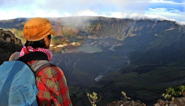 Flora at Tambora